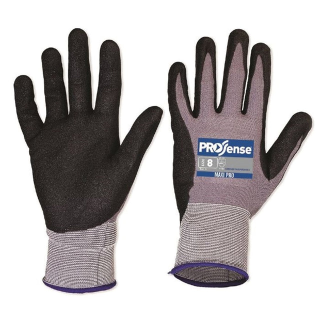 Prosense Maxi-Pro Gloves 12pk