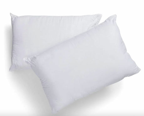 Pillow Regular Size 2Pk