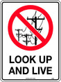 Prohibition Sign - Look Up And Live  Poly