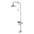 Combination 316SS Shower And Eye Wash With Bowl & Foot Treadle